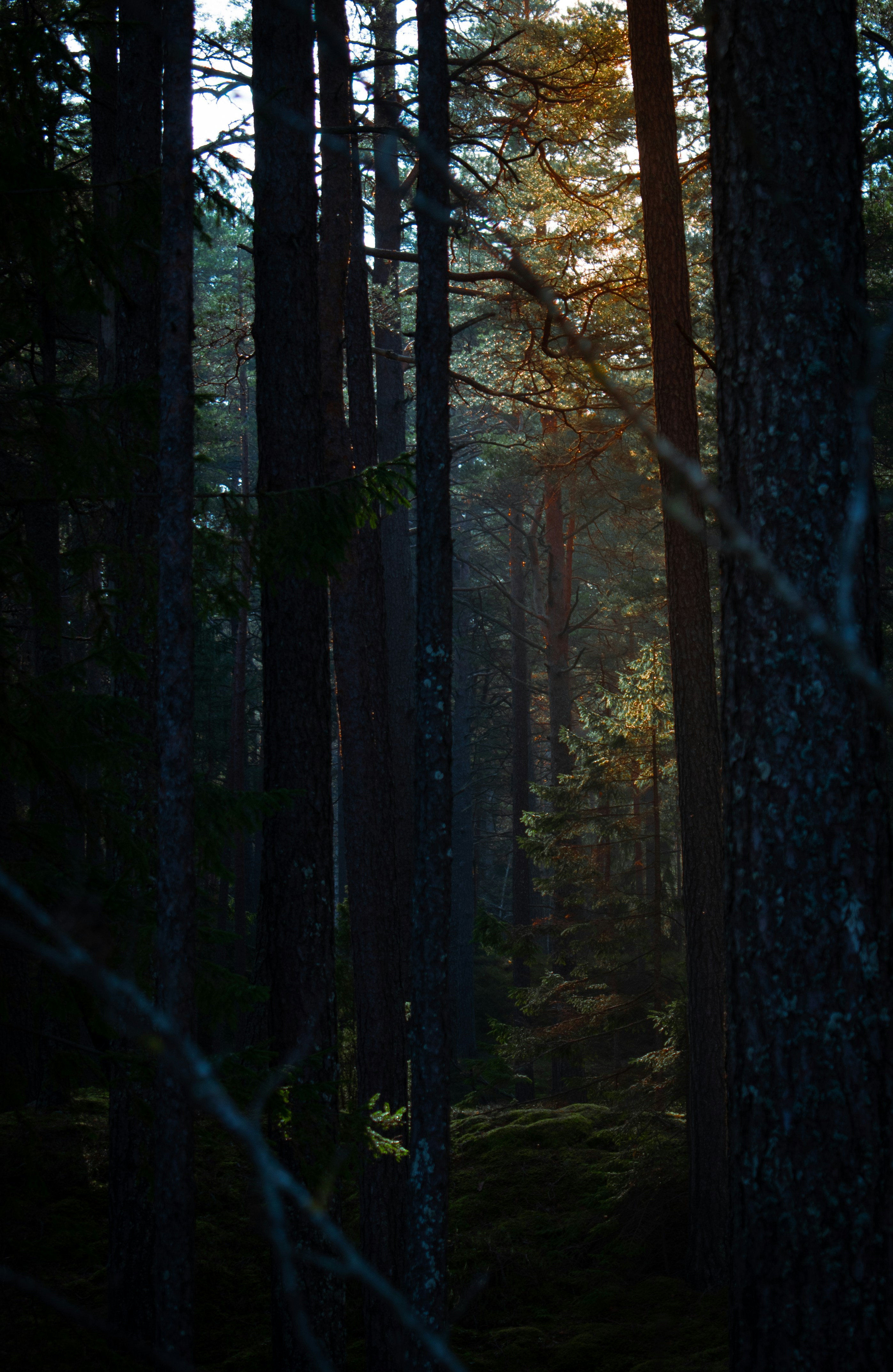 Photo by christina_kozak