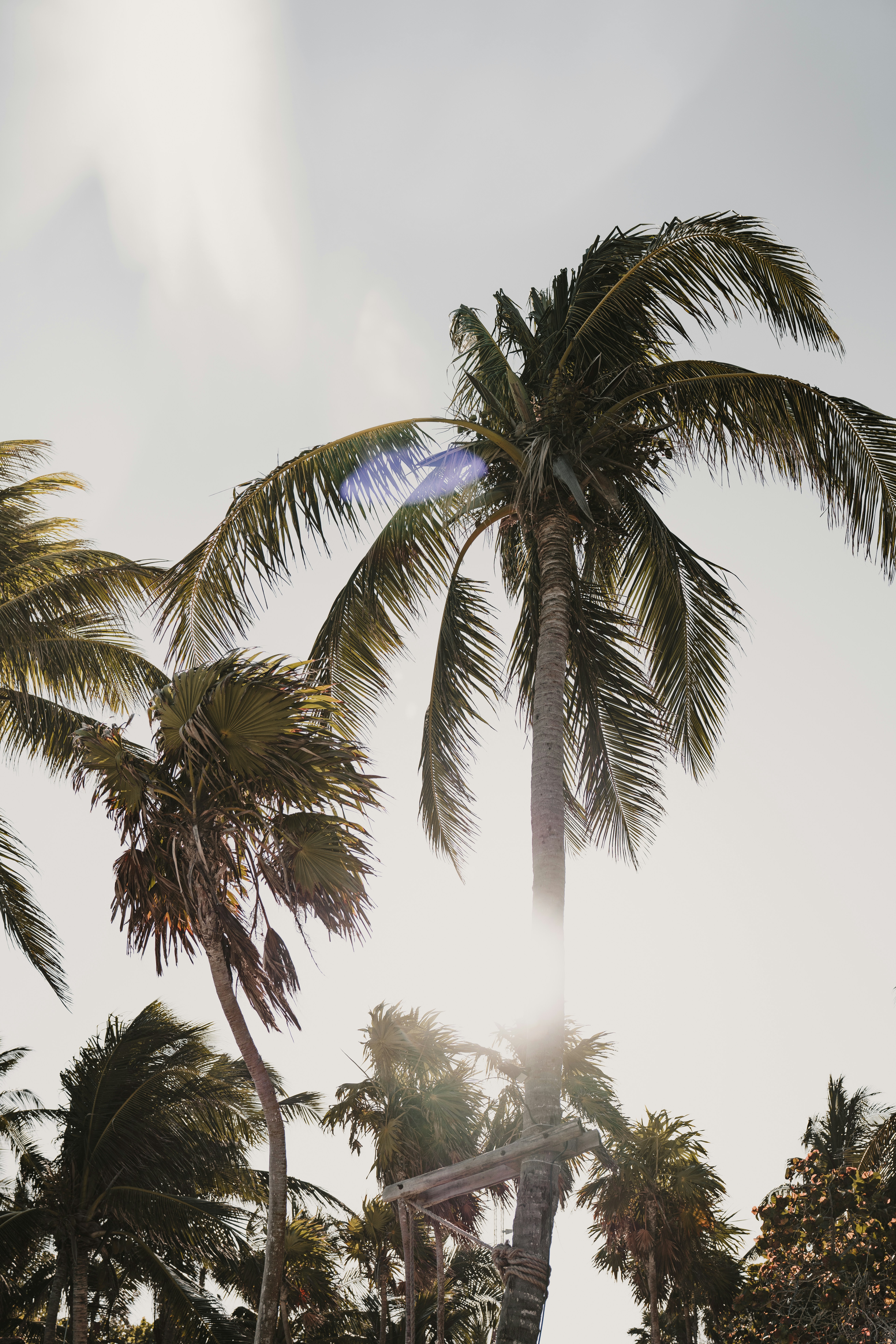 Photo by matias_north