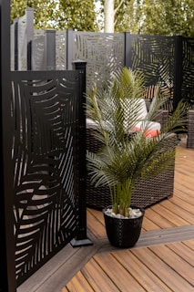 a potted plant sitting on top of a wooden deck