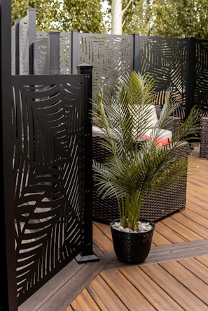 a potted plant sitting on top of a wooden deck
