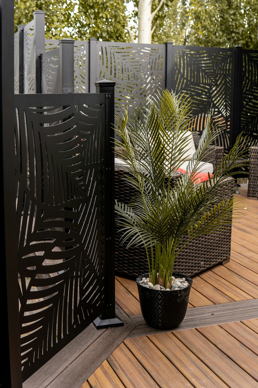 a potted plant sitting on top of a wooden deck