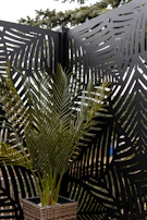 A tall plant with long green fronds is placed in a woven basket planter. The background features decorative metal panels with leaf patterns, creating an artistic and modern design. A hint of trees is visible in the upper background.