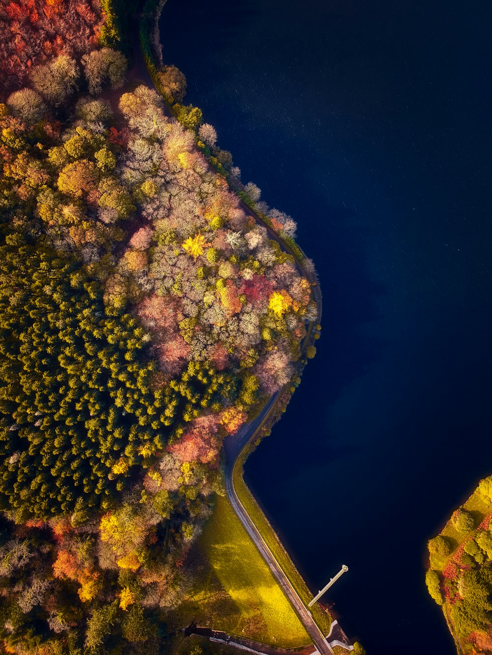 an aerial view of a lake surrounded by trees