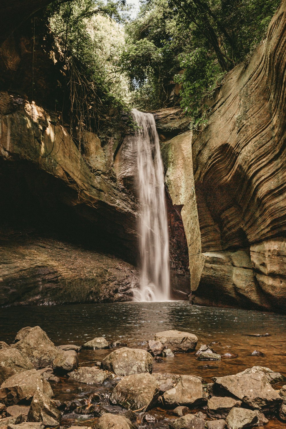 a small waterfall in the middle of a forest