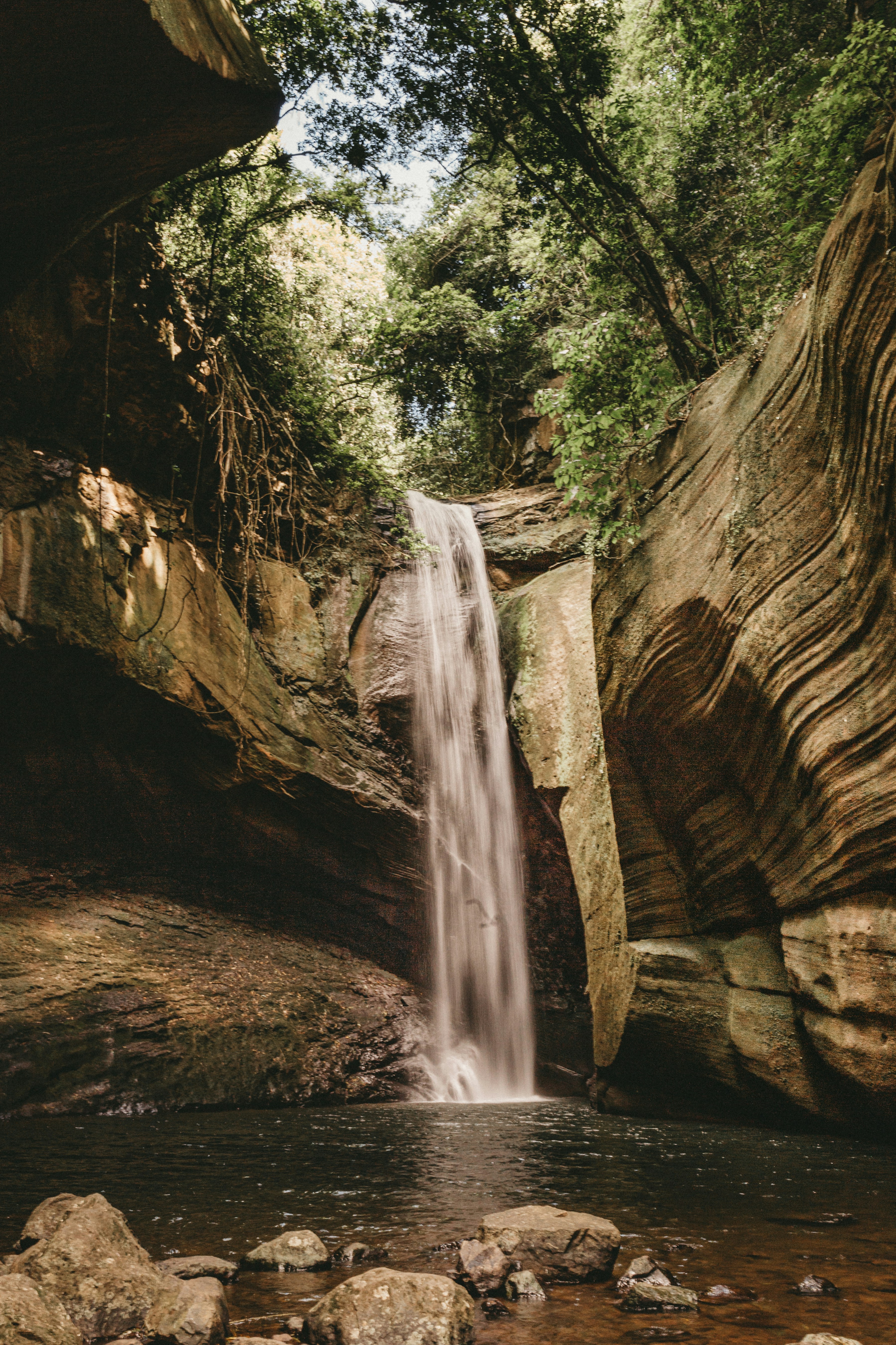 Photo by jonathanborba