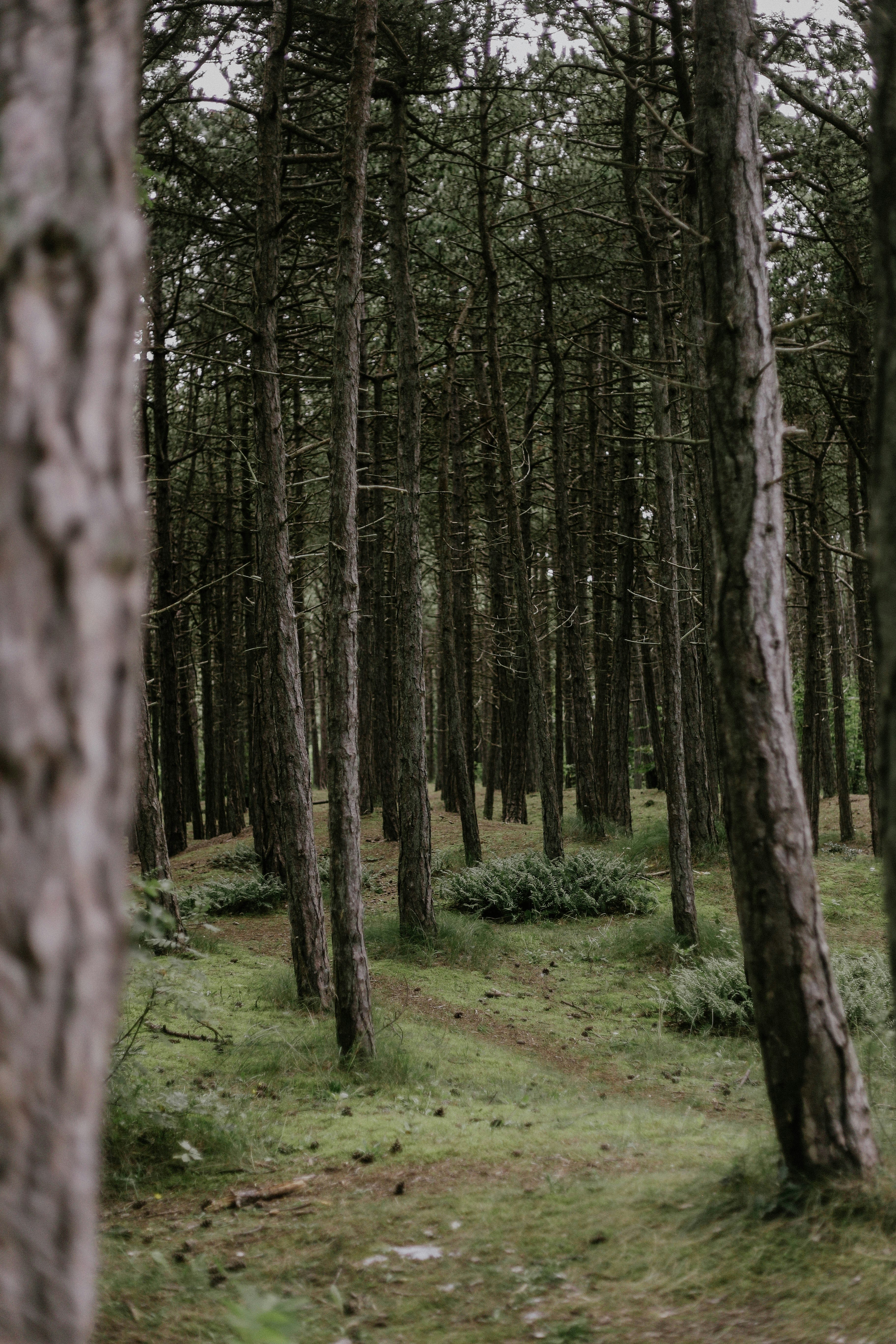 Photo by classisinternal