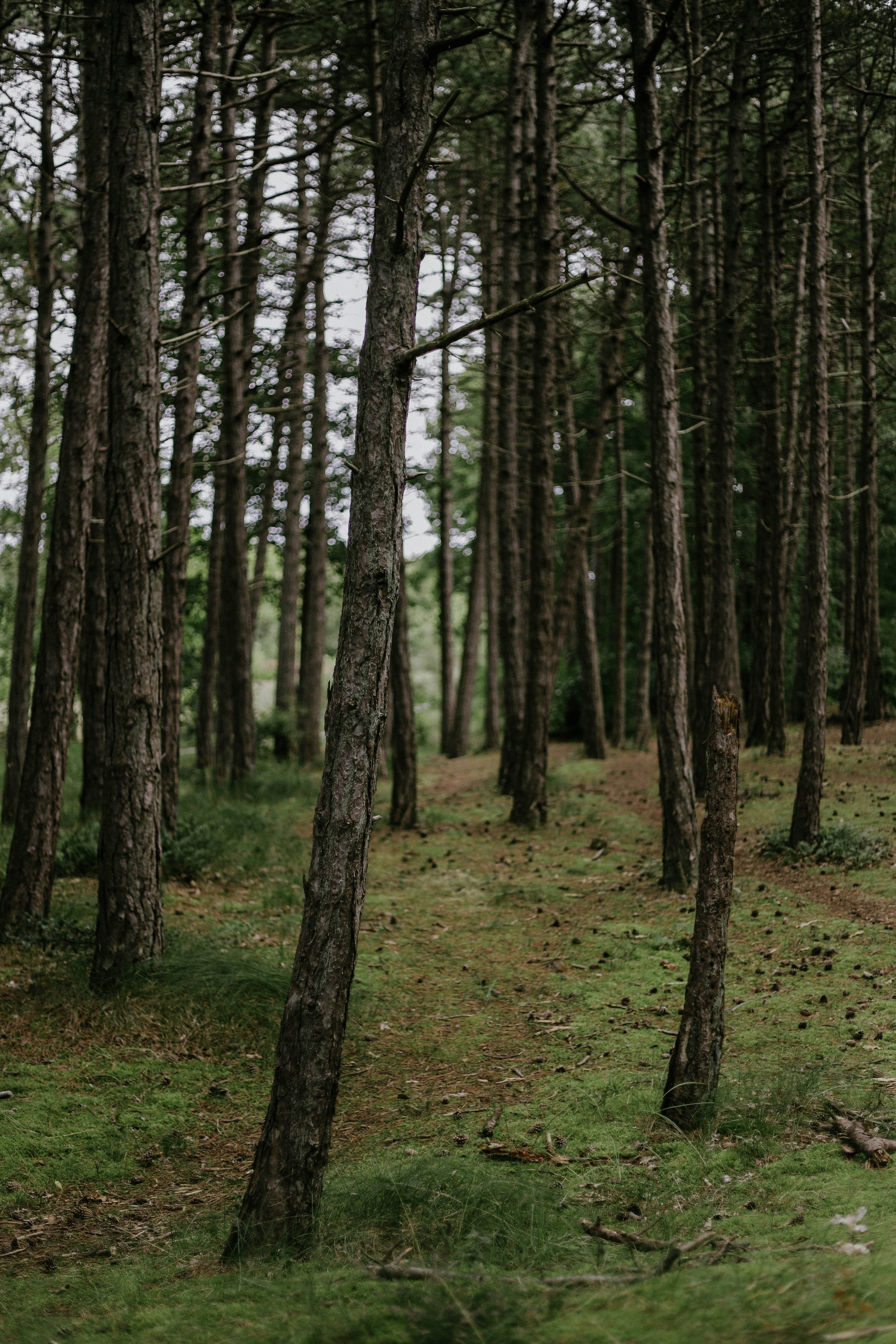 Photo by classisinternal