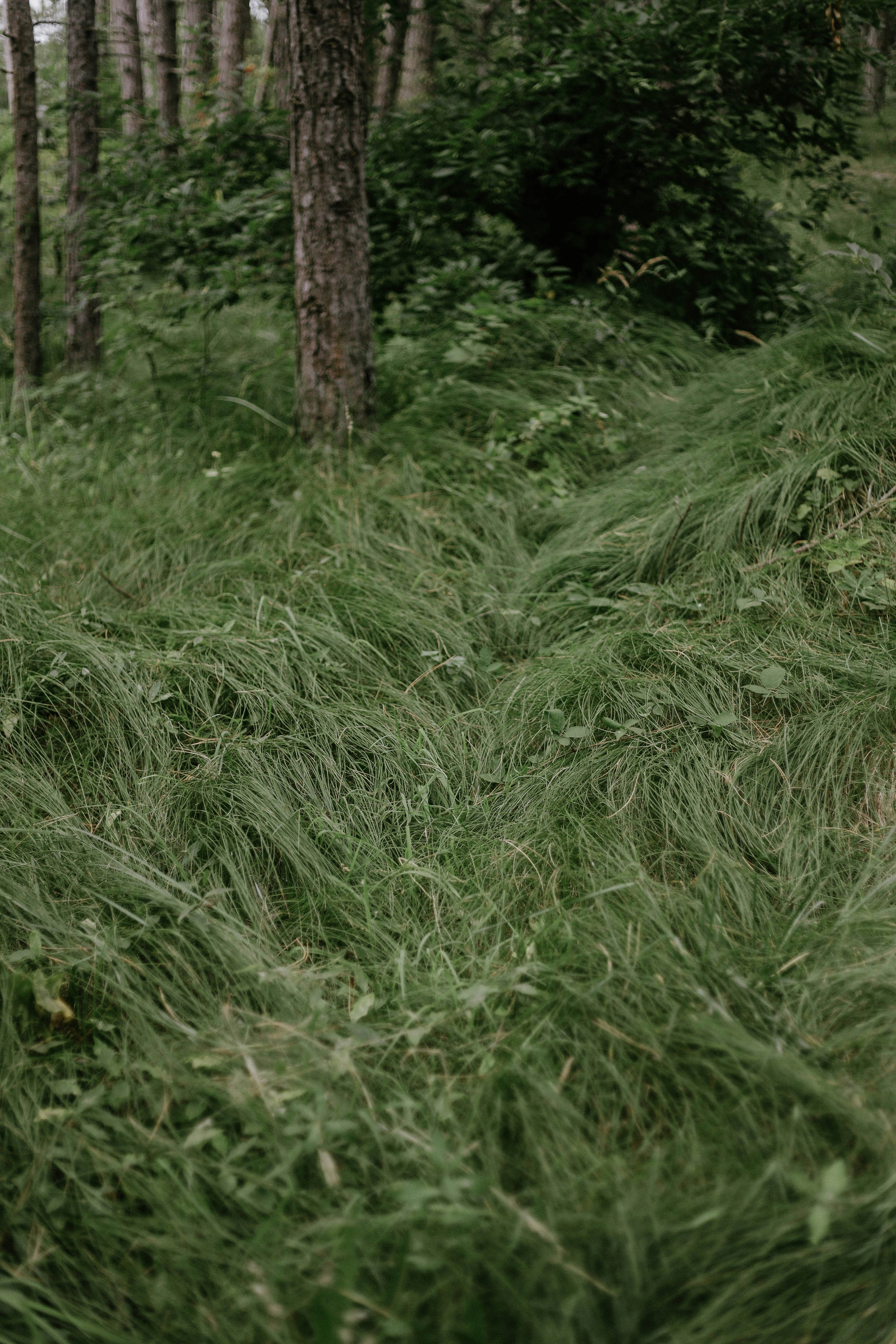 Photo by classisinternal