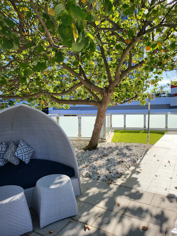 A cozy outdoor seating area nestled among vibrant greenery and minimalist stone features, perfect for quiet reflection.