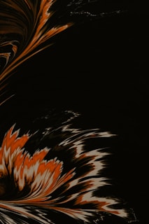 A vibrant orange and white abstract design representing growth.