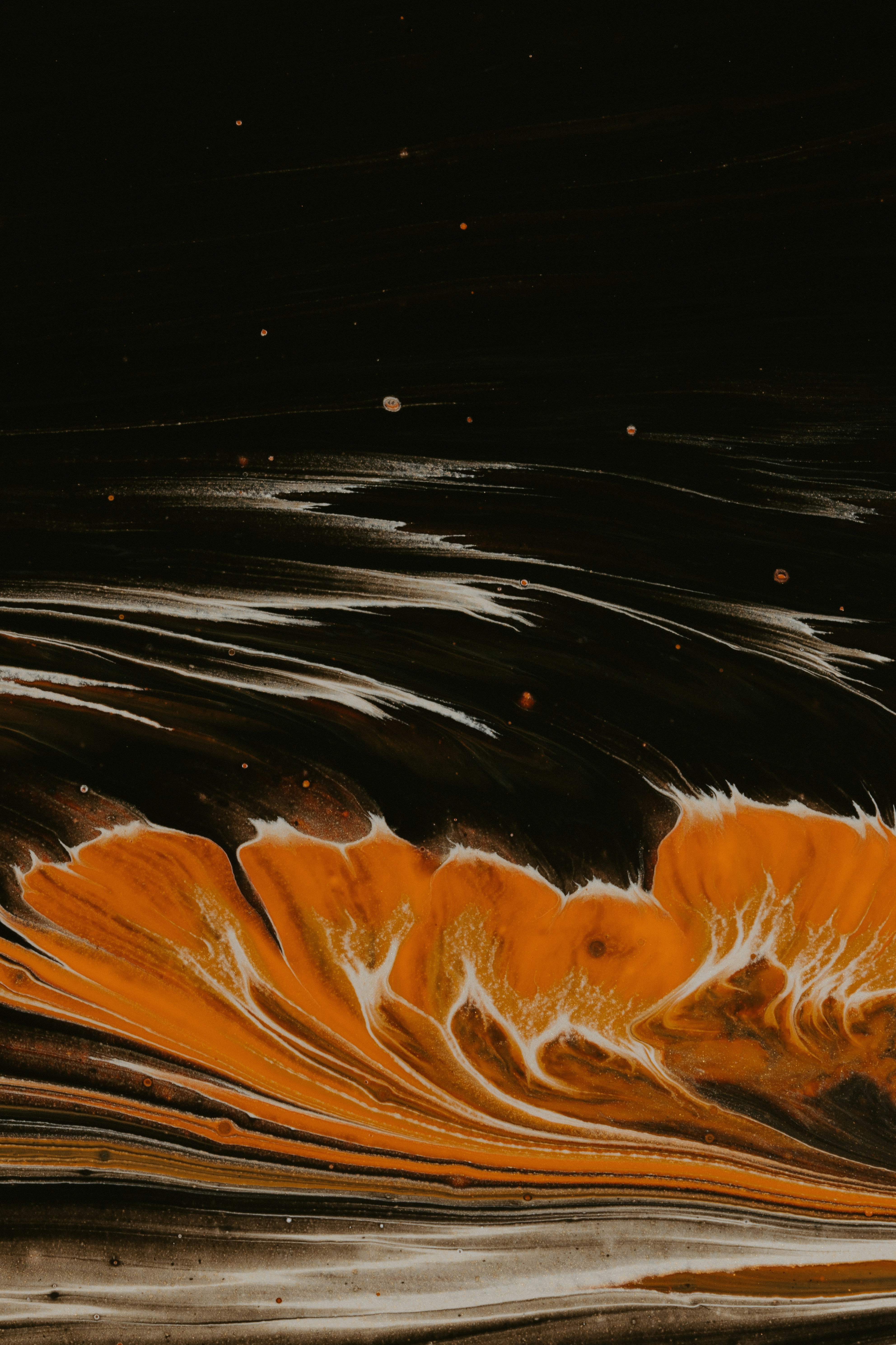 Photo by pawel_czerwinski