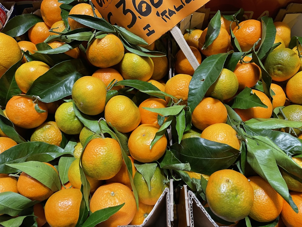 a pile of oranges sitting next to each other