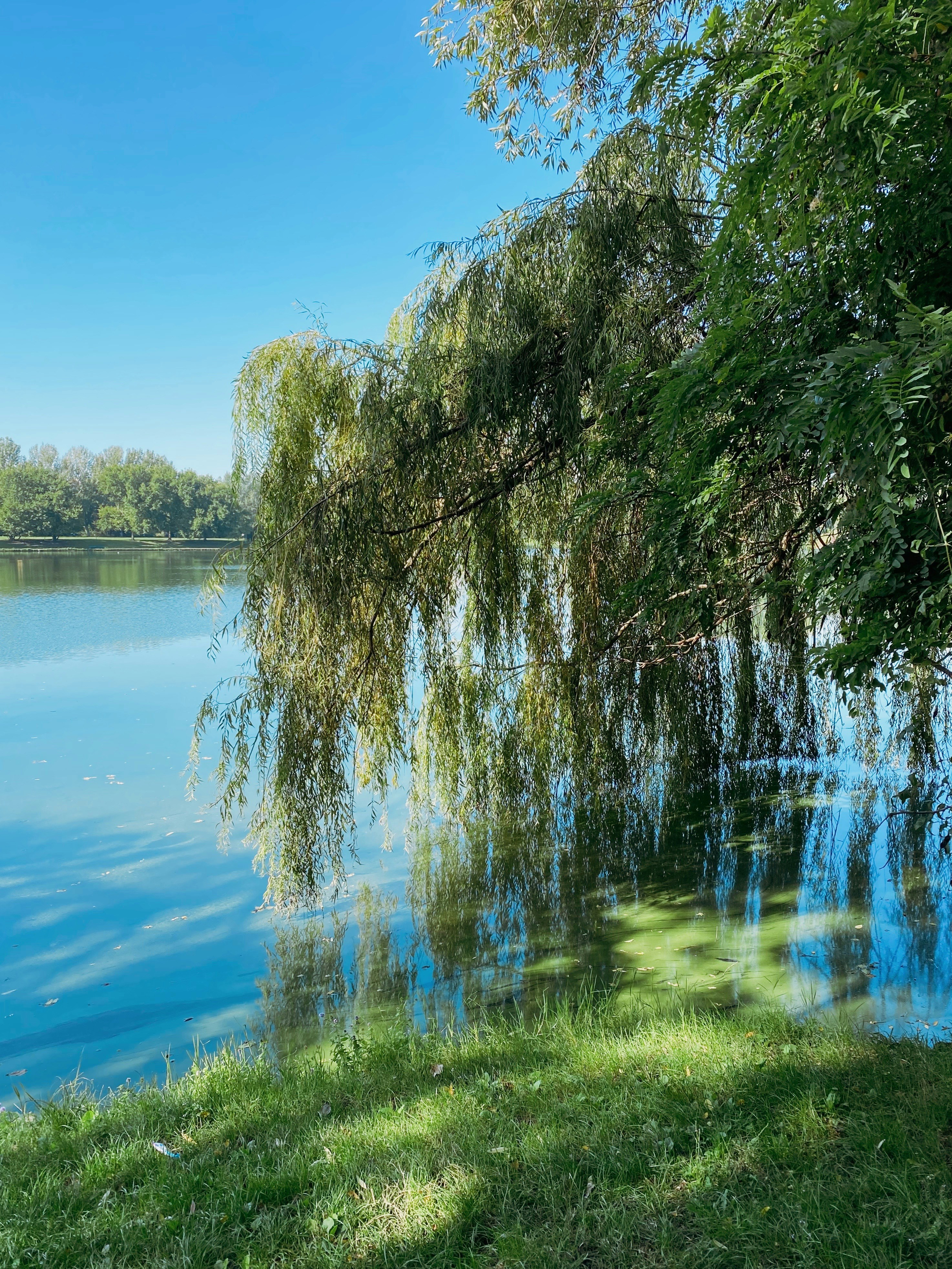 Photo by interniweeni