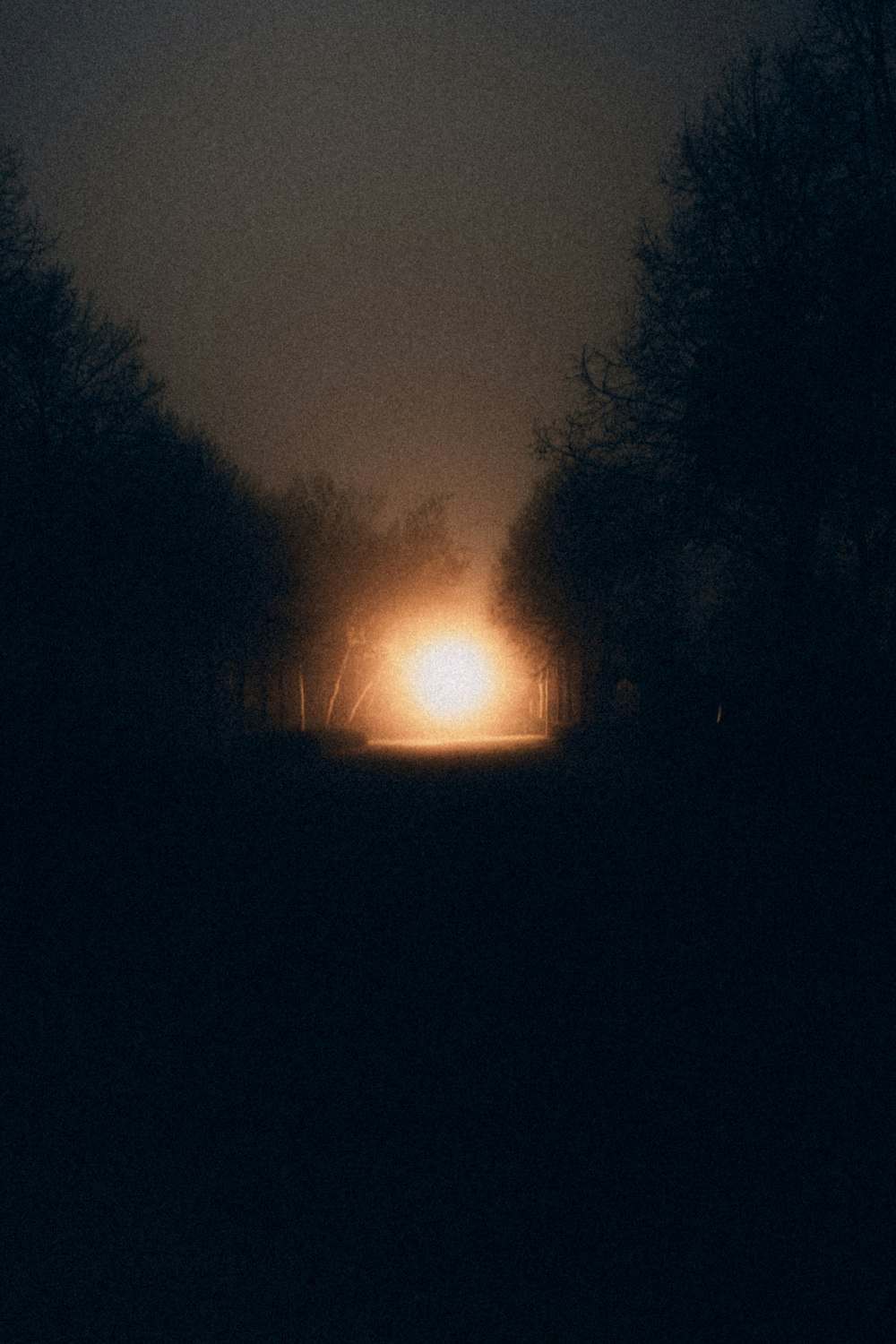 a foggy night with a light in the middle of the road