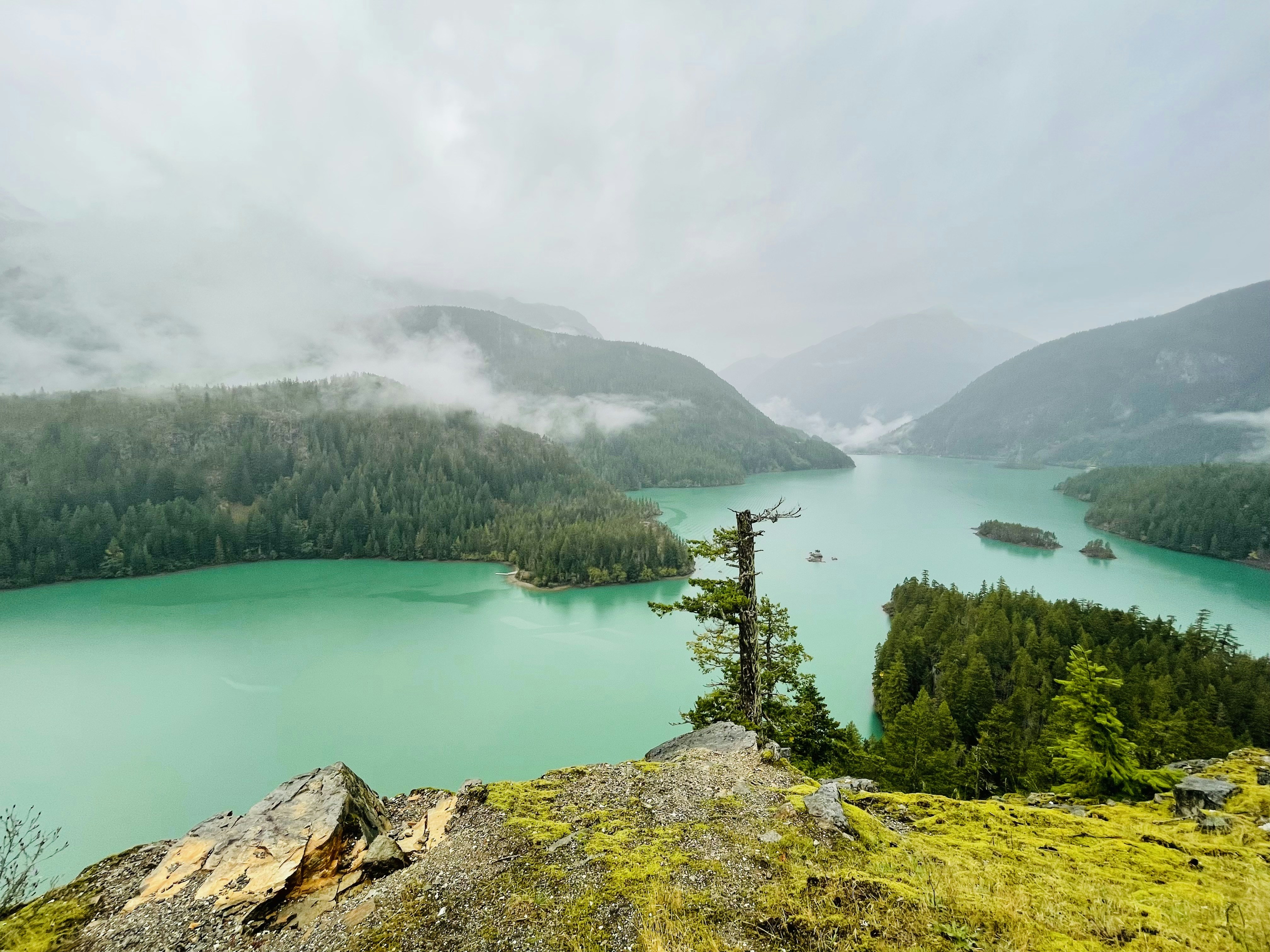 Photo by melitadsouza