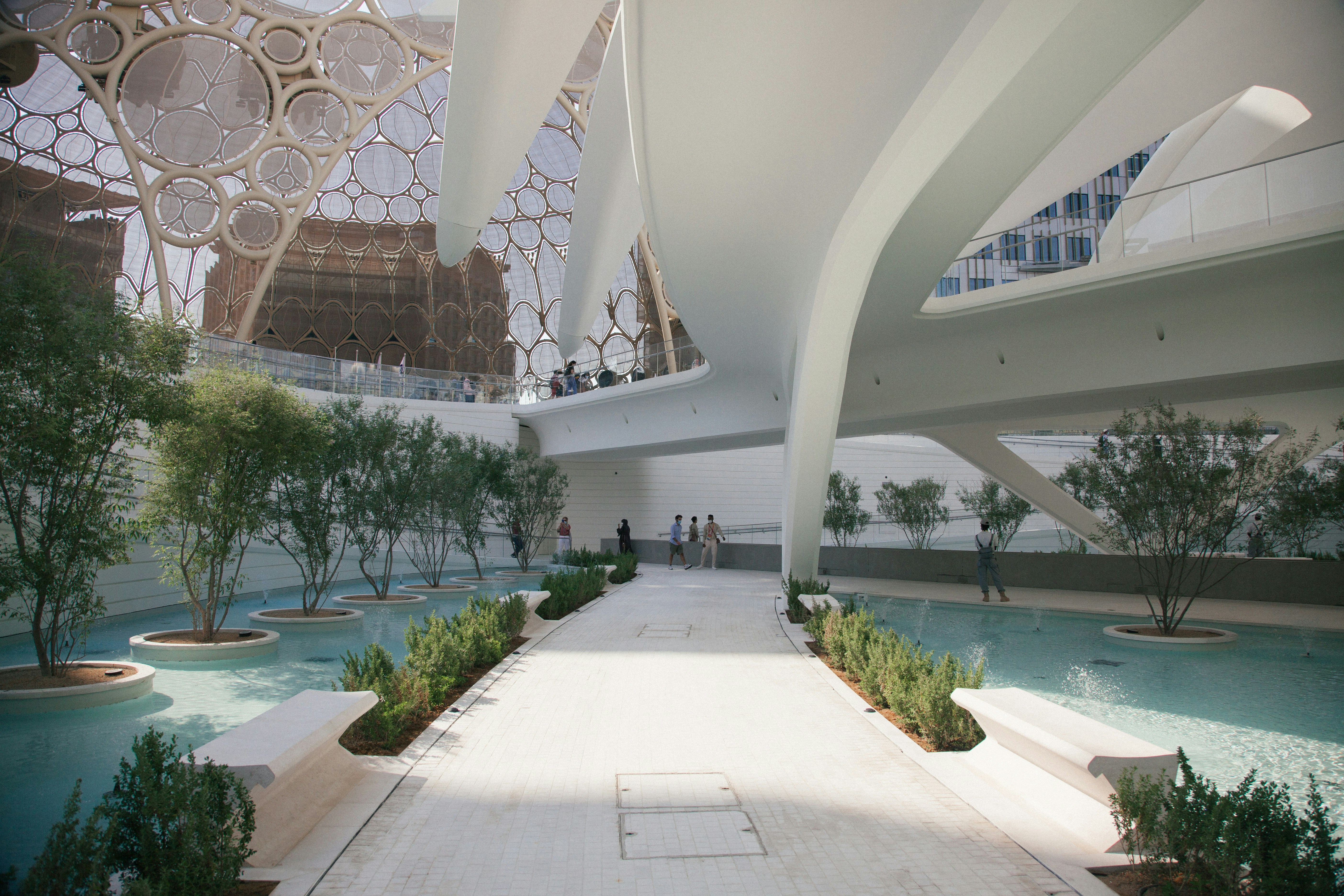 Photo by michaelwave