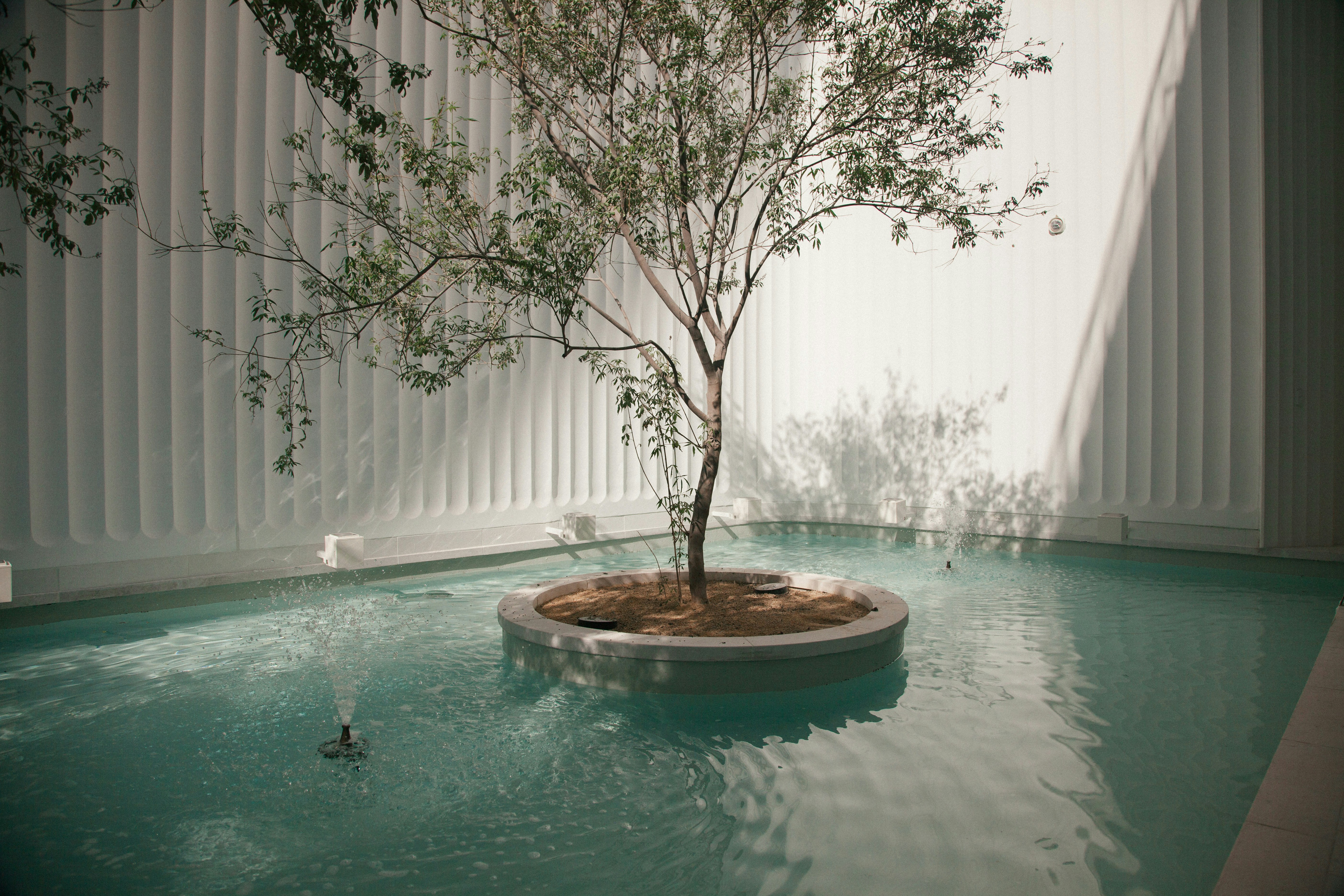 Photo by michaelwave