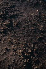 A close-up view of a rocky and gravel-filled surface with varying textures and sizes of stones scattered across a dark, earthy ground.