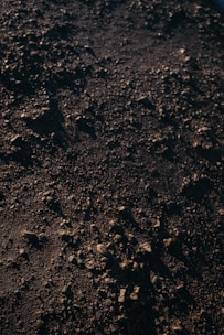 A close-up view of a rocky and gravel-filled surface with varying textures and sizes of stones scattered across a dark, earthy ground.