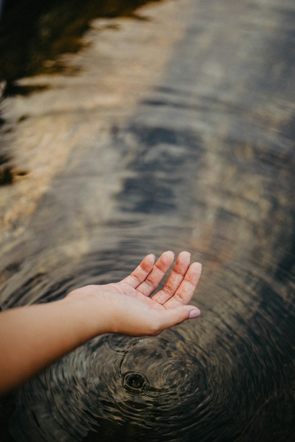 a person's hand reaching out into a body of water