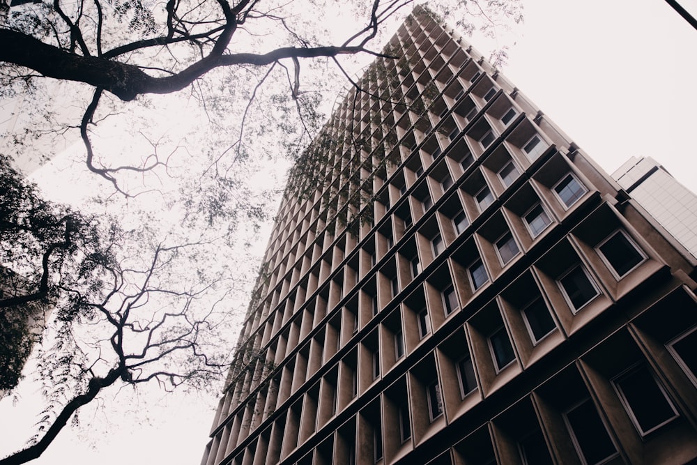 a tall building with lots of windows next to trees