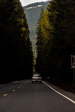 Photo of a truck driving through a Texas highway surrounded by pine trees.
