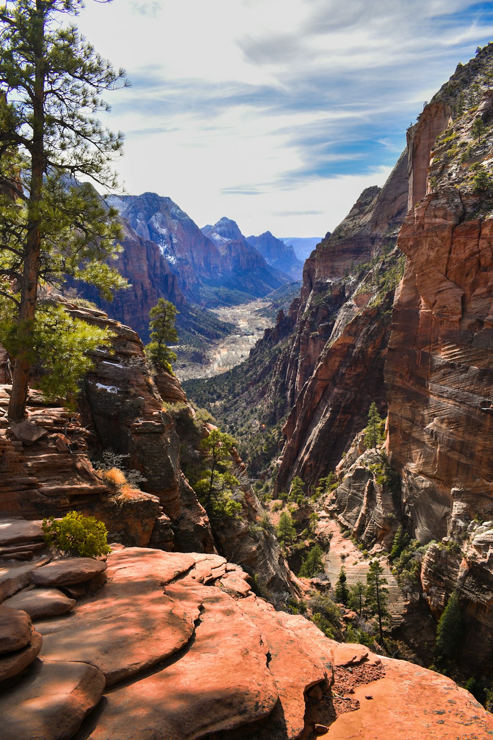 a scenic view of a canyon with mountains in the background