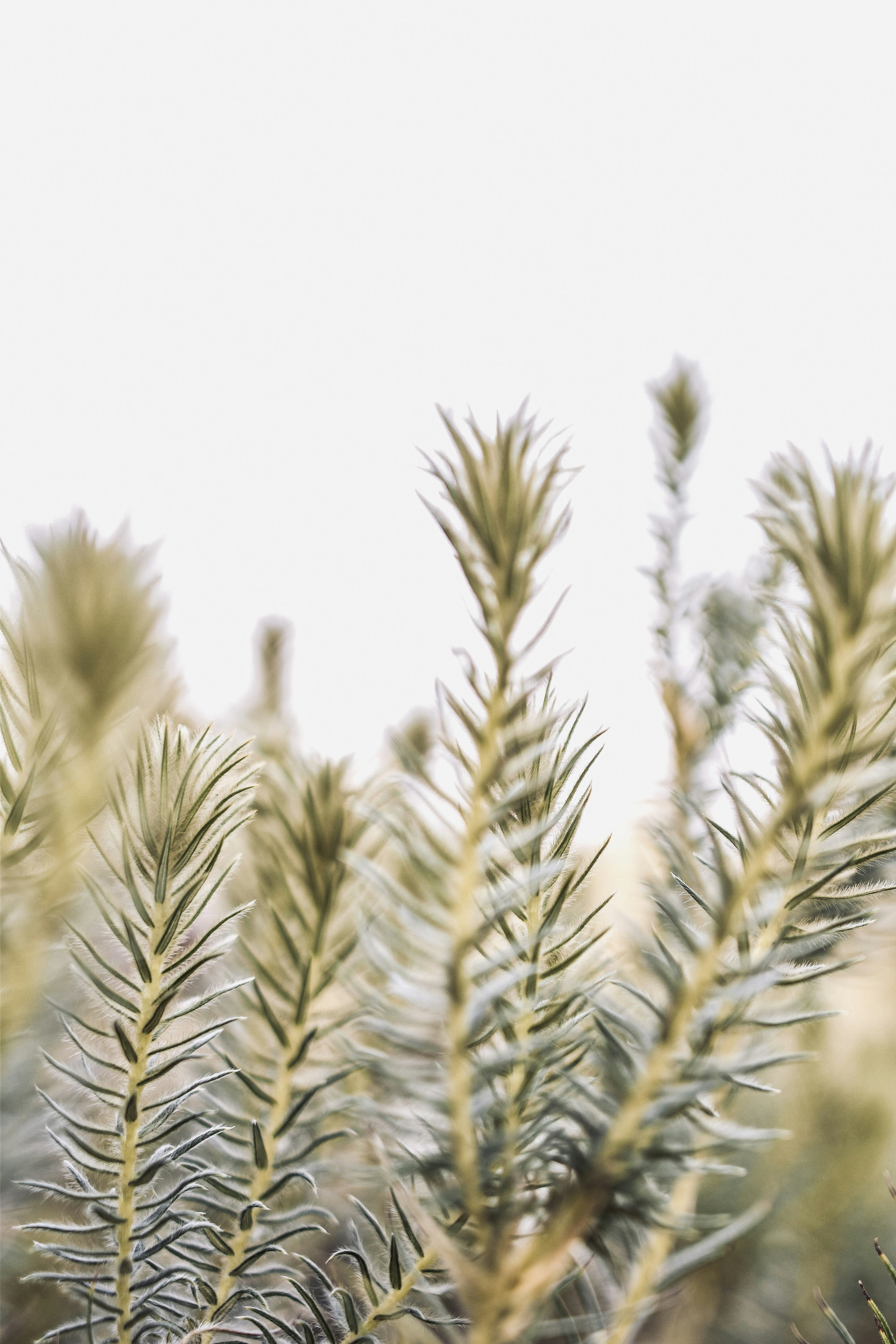 Photo by daniellestein