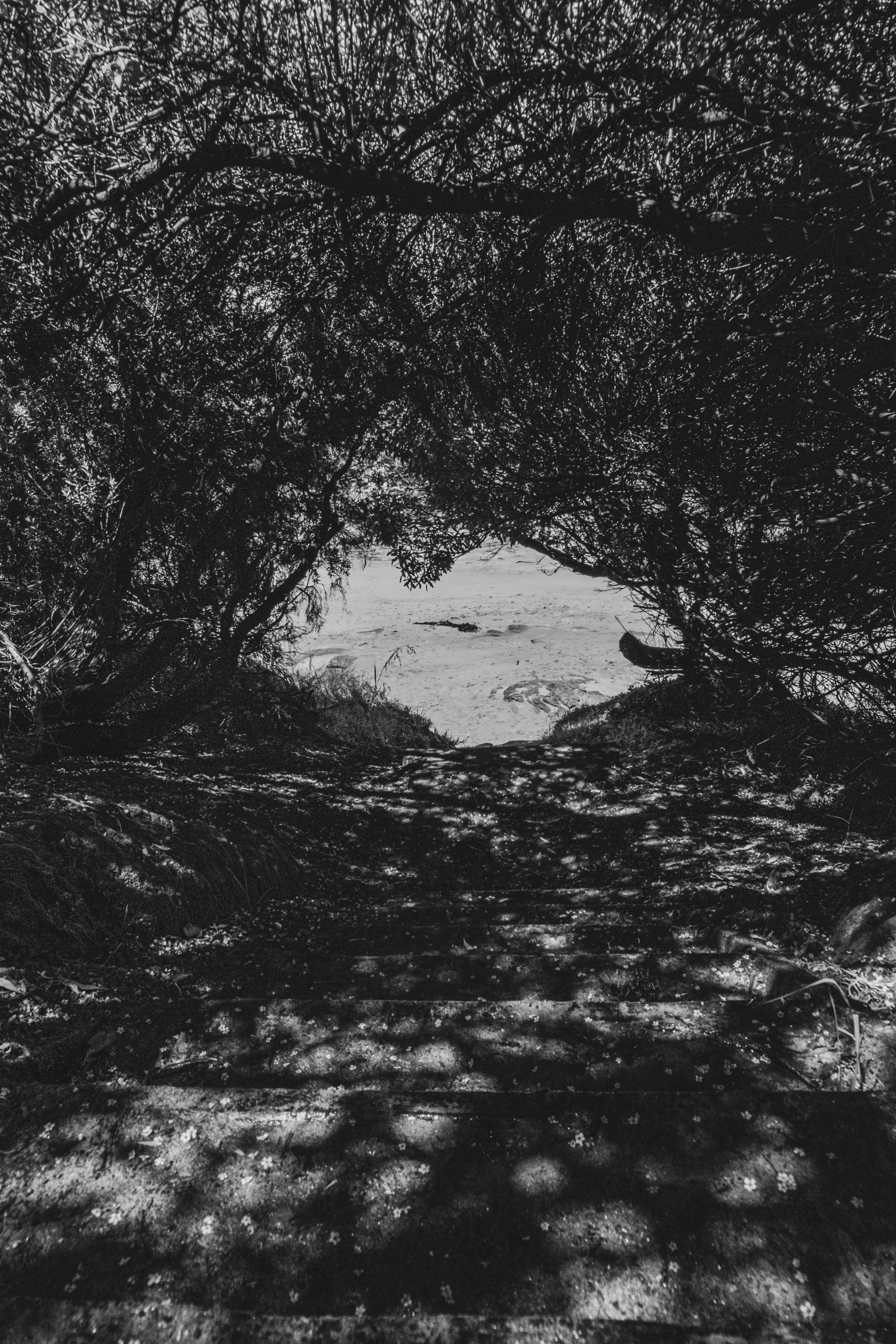 Photo by momento_iter