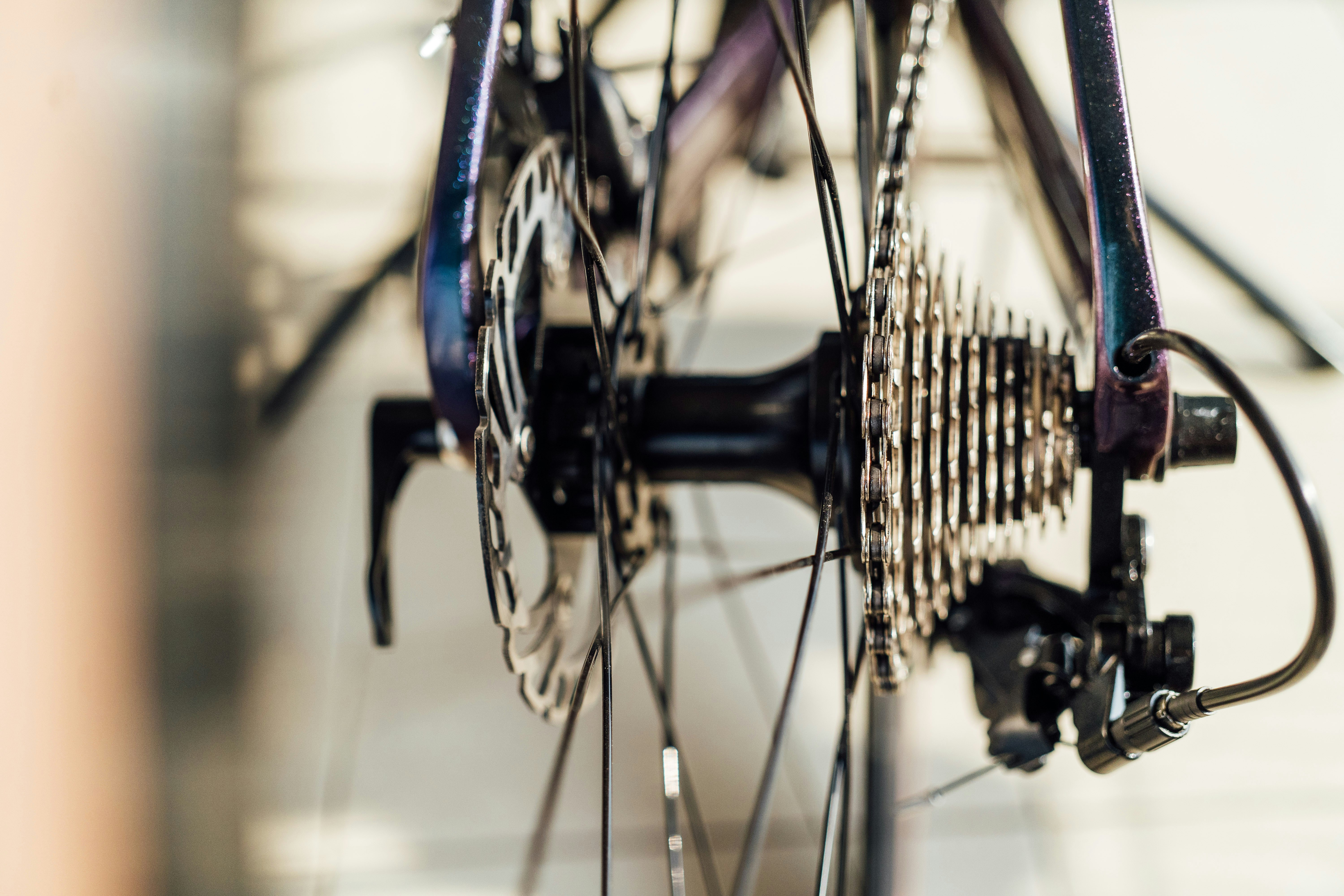 Photo by chuttersnap