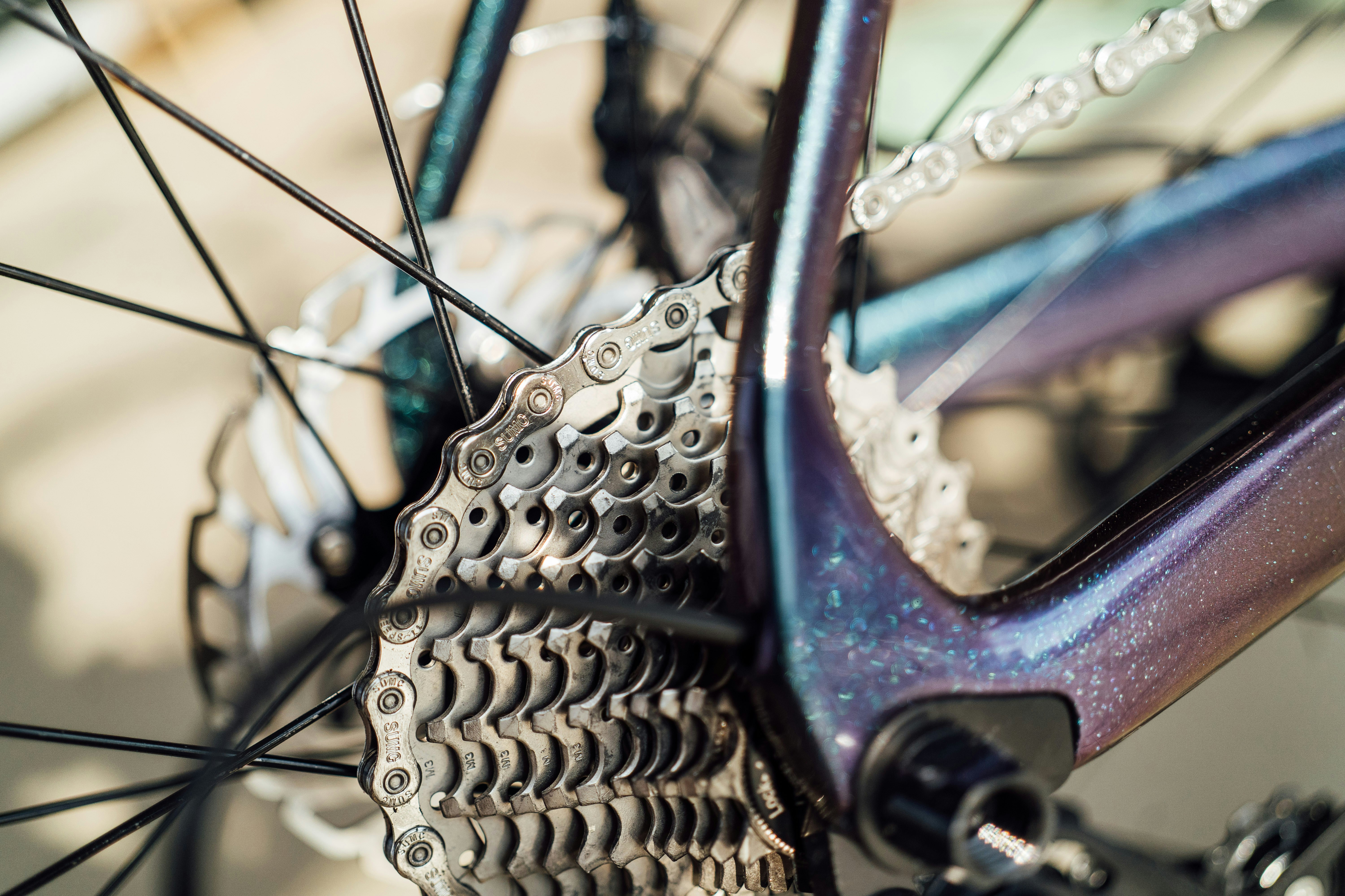 Photo by chuttersnap