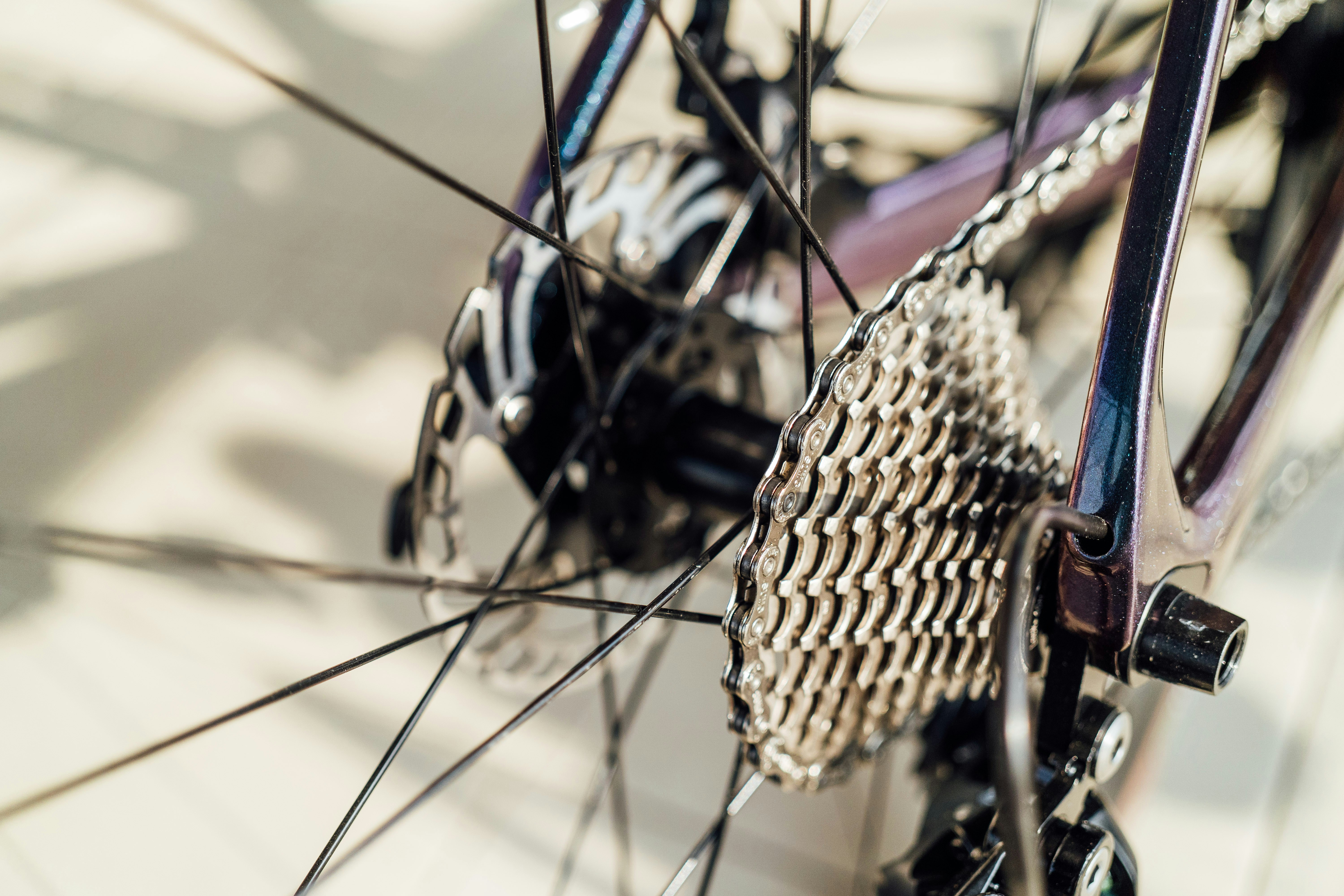 Photo by chuttersnap