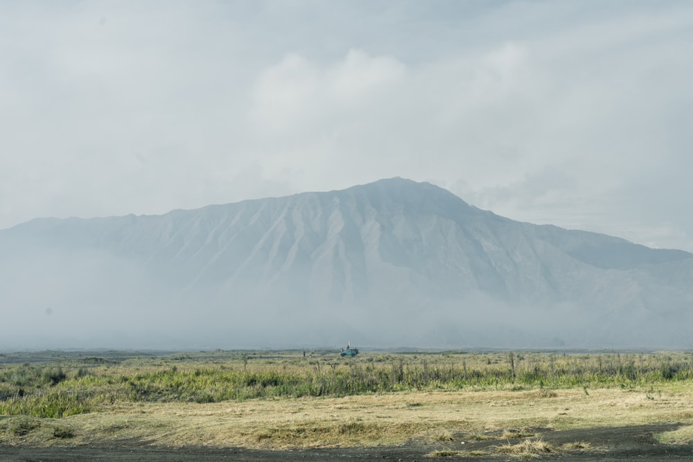 a large mountain in the distance with a field in front of it