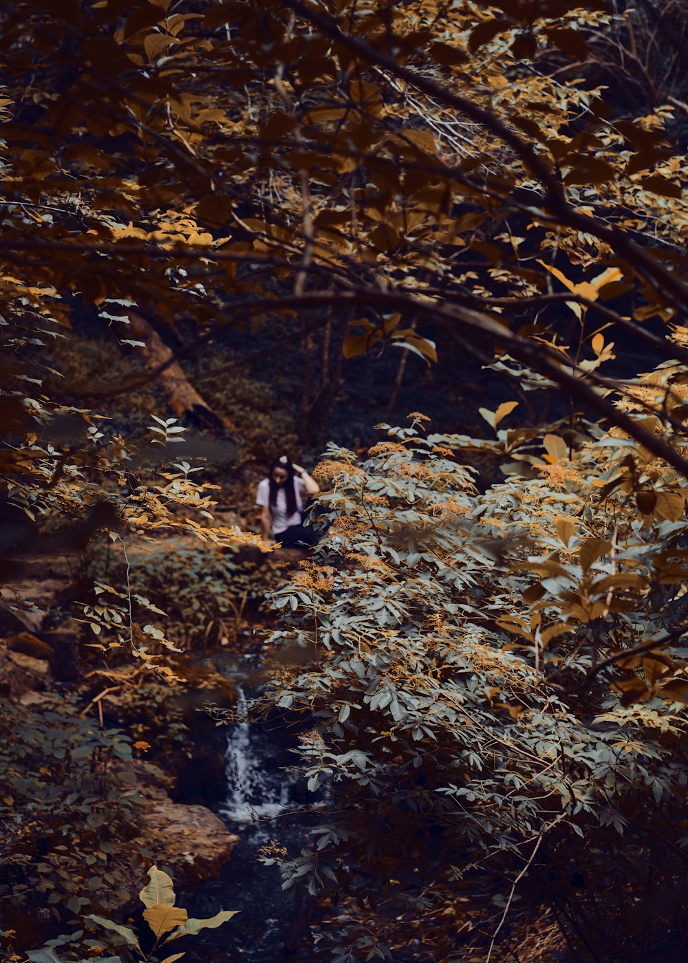 a person sitting on a rock in the woods