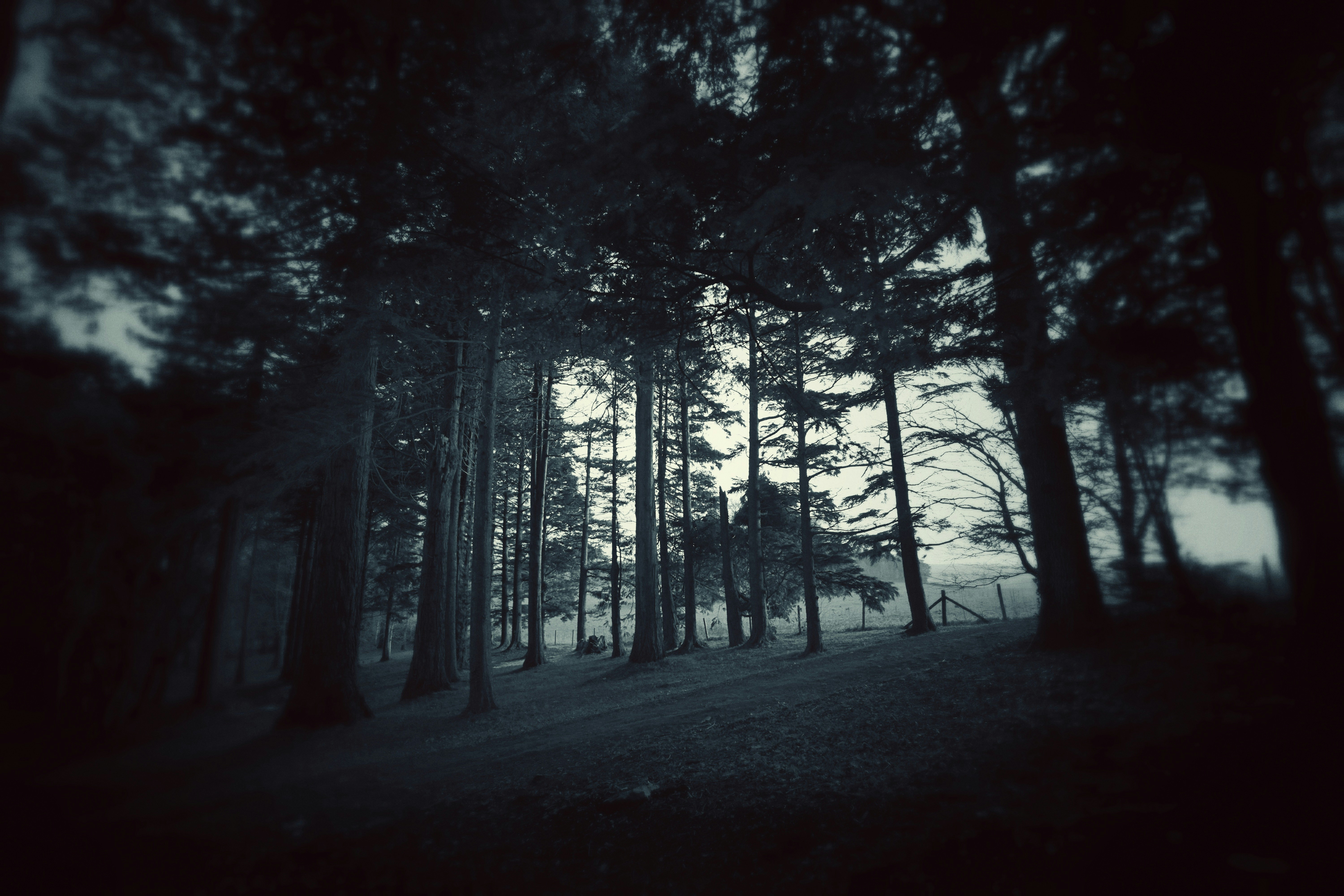 Photo by thenoisyhwa