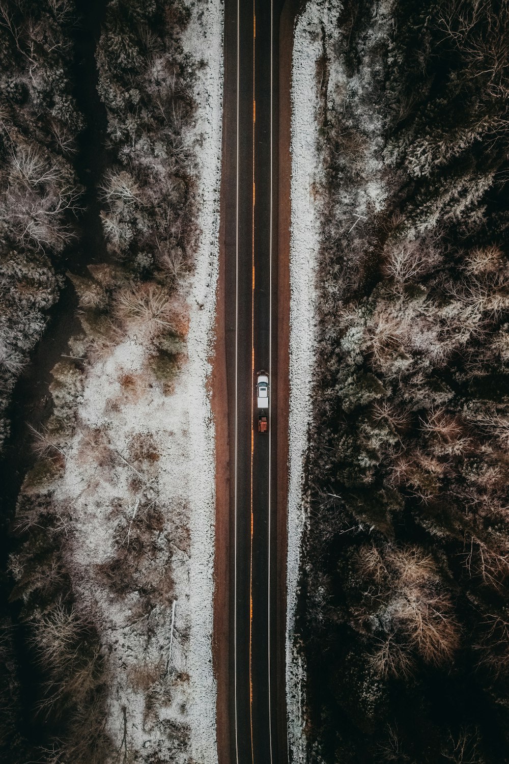 a car driving down a road in the middle of a forest