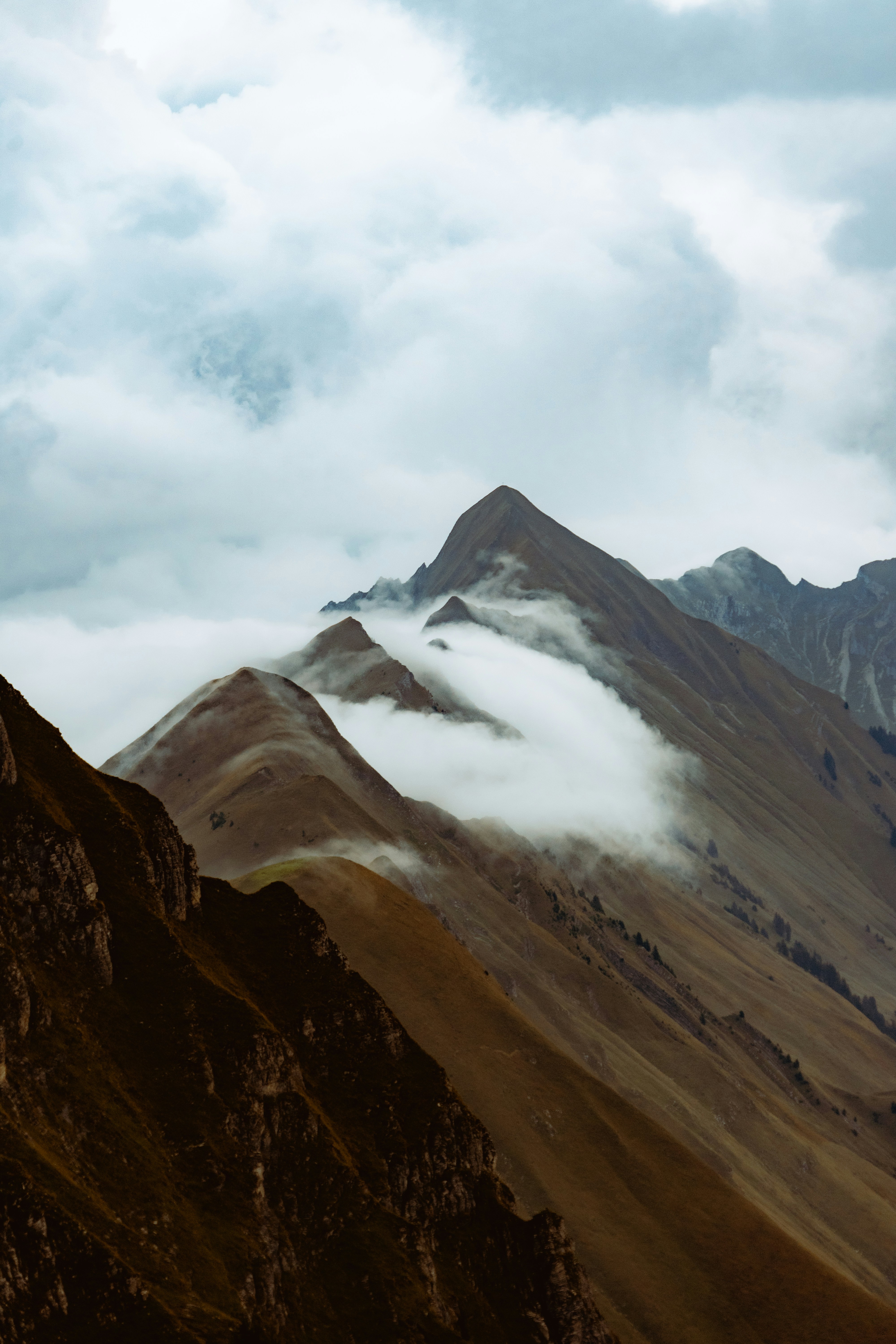 Photo by benaja_photos