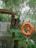 A serene outdoor walkway is surrounded by lush greenery, with a rustic wooden archway and pathway made of stone slabs. A prominent orange life buoy is mounted on a red and white striped pole near a small water body.