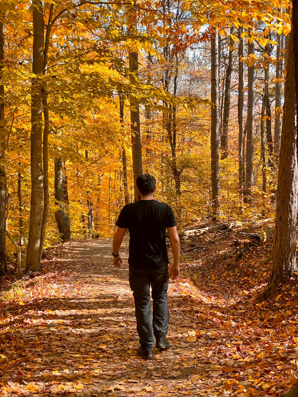 a man walking down a path in the woods