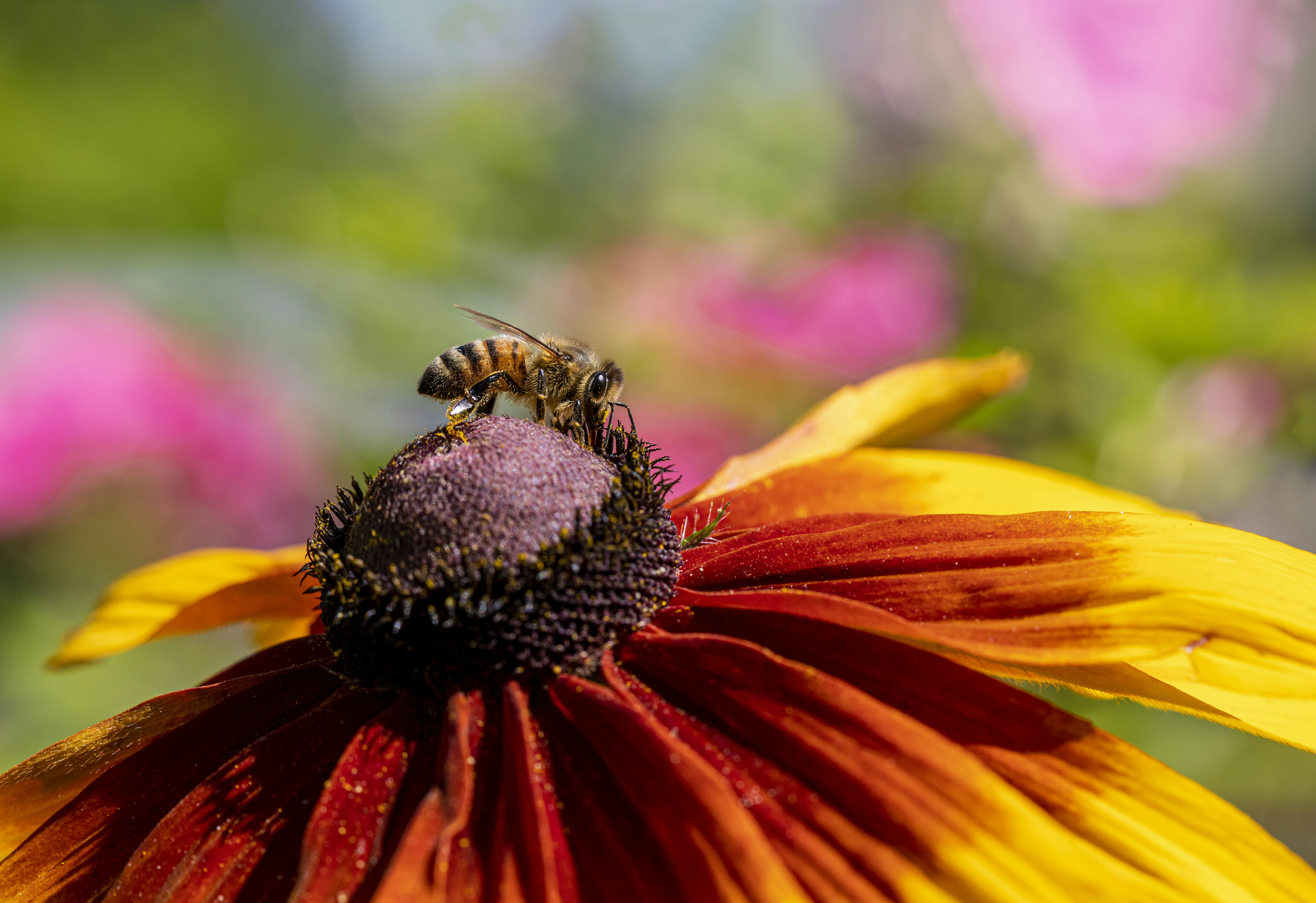 Photo by erik_karits