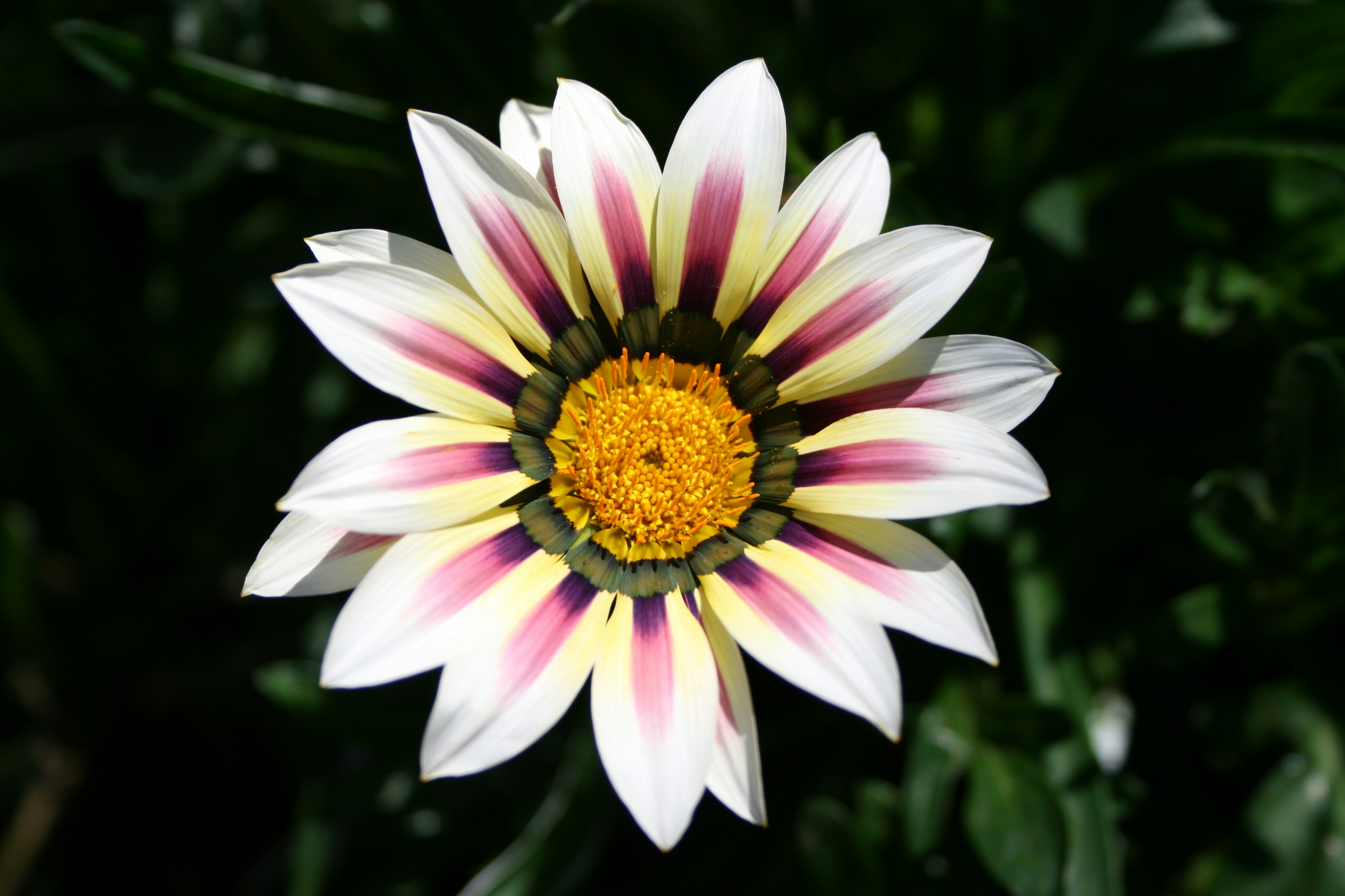 Photo by xdigitalphotos