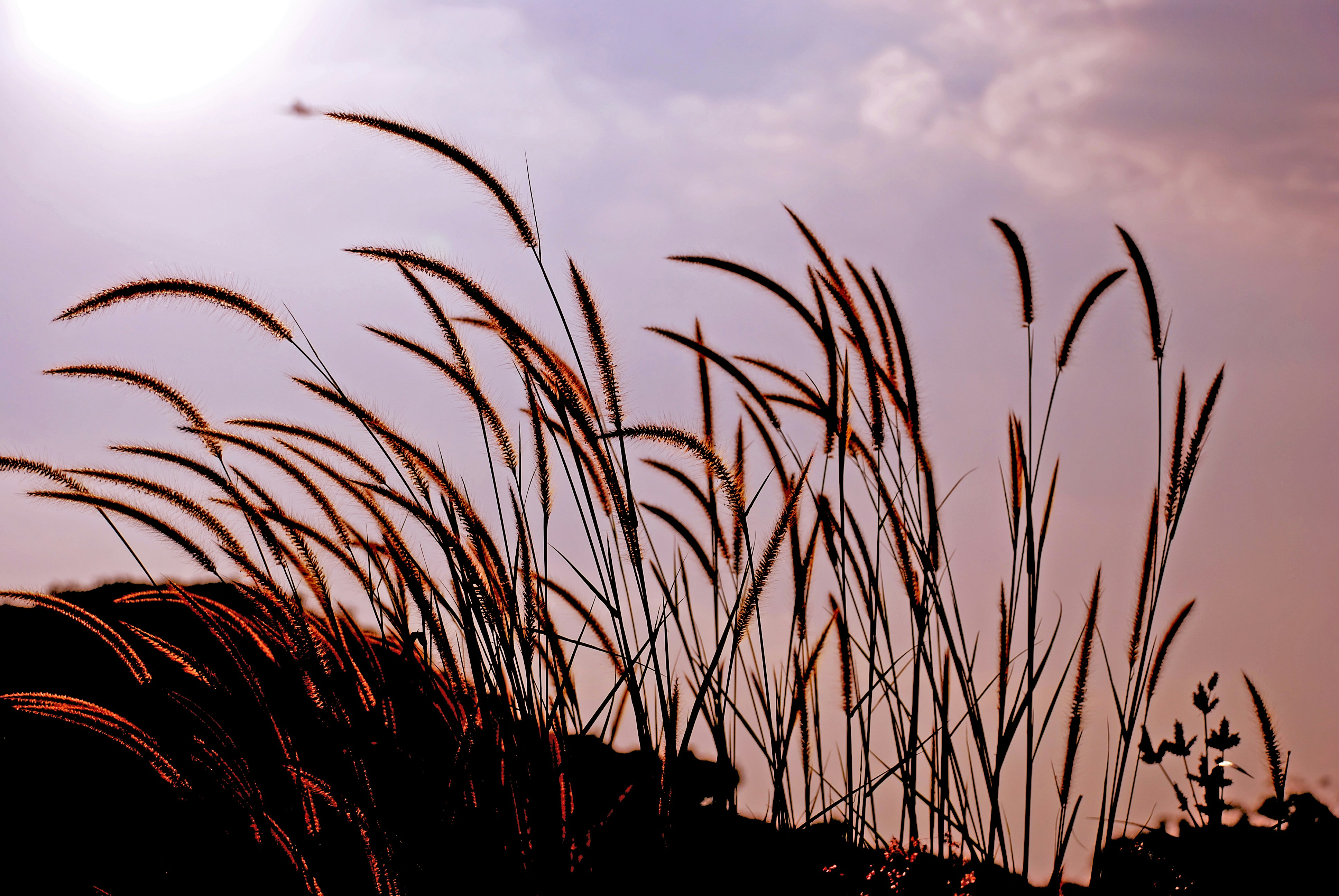 Photo by xdigitalphotos