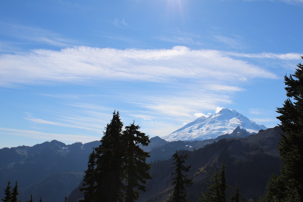 a view of a snow covered mountain with trees in the foreground