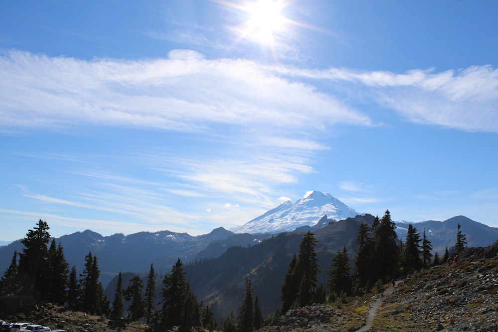 a view of a mountain with trees on the side