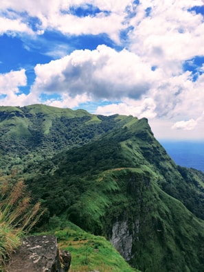 A scenic landscape of Mussoorie with lush green hills.