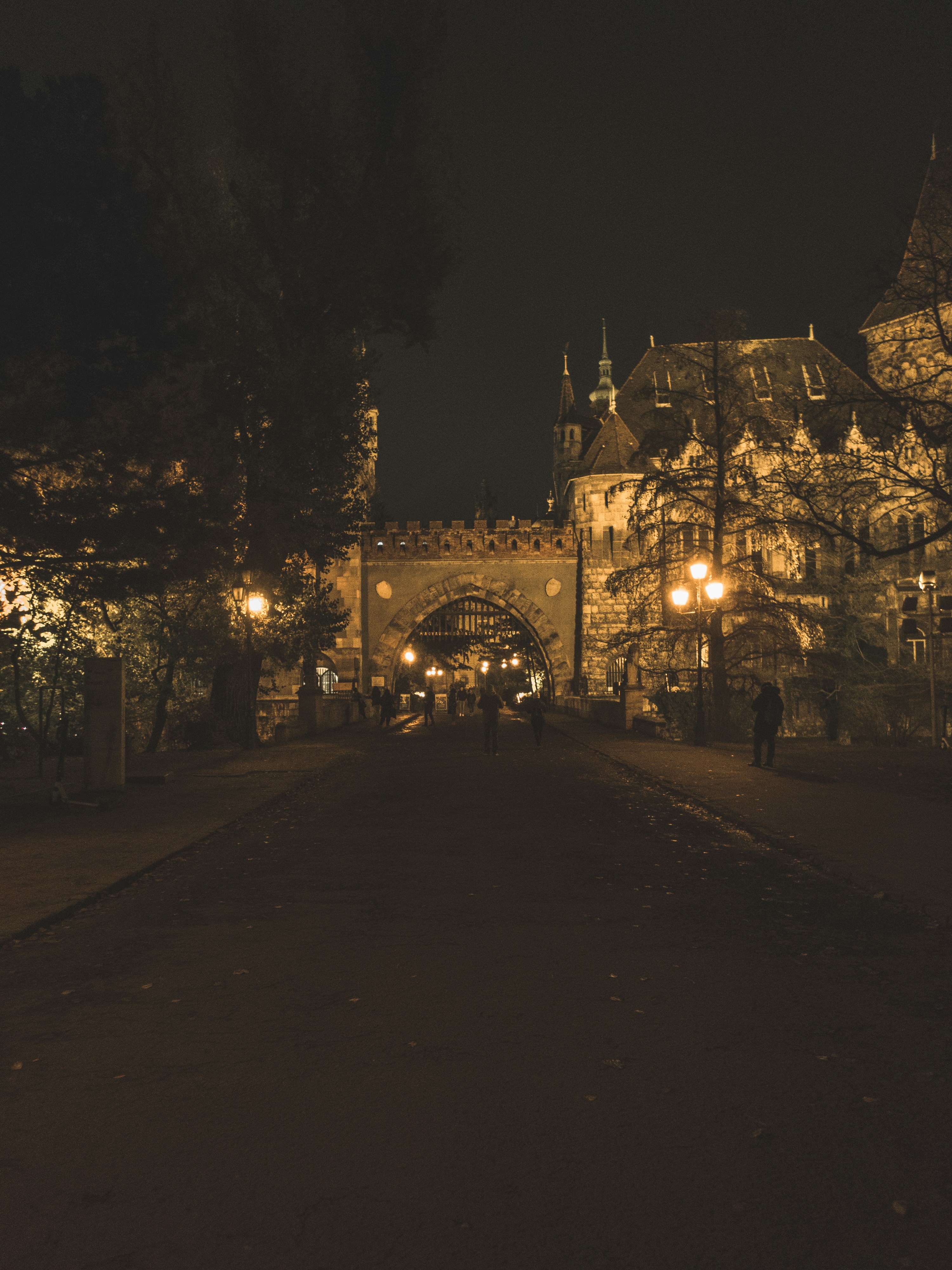 Photo by seancwu