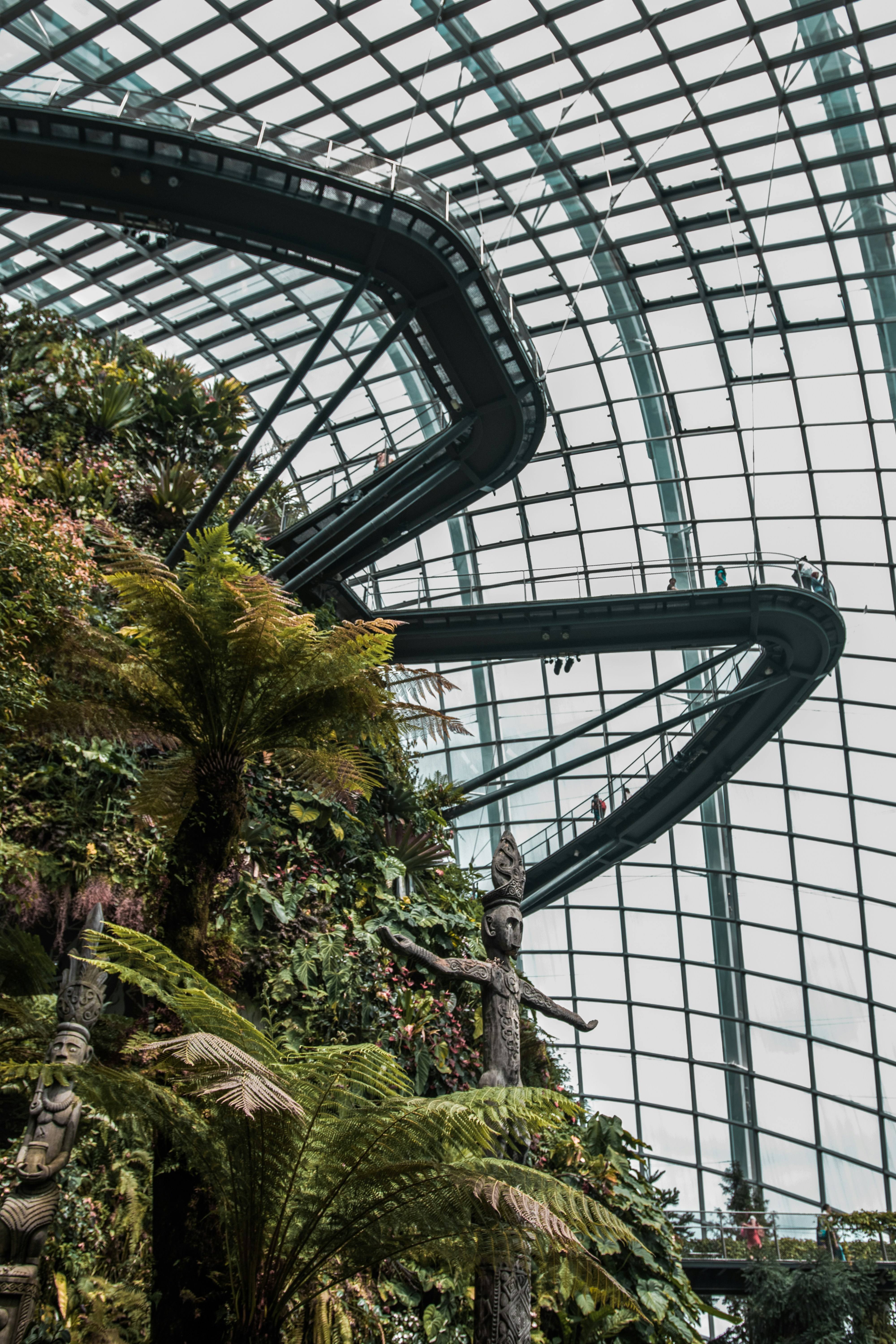 Photo by soggywaffles_260