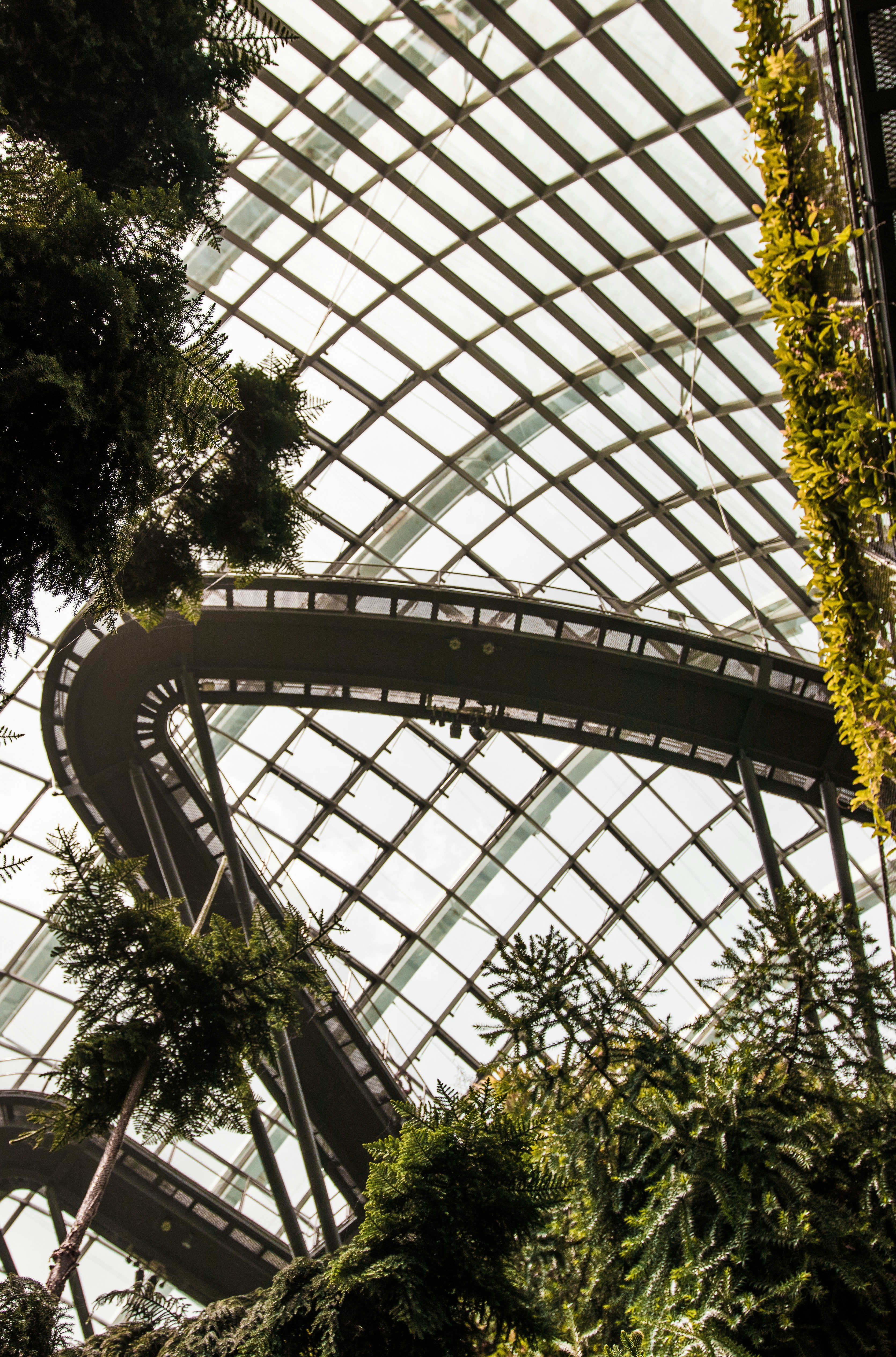 Photo by soggywaffles_260