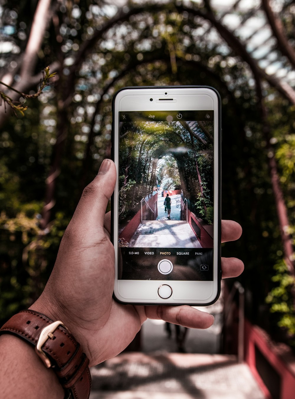 a person holding a cell phone in their hand