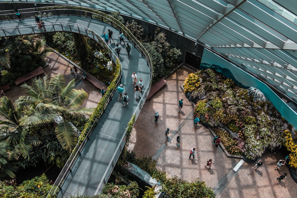 an overhead view of people walking around a garden